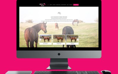 Website Design for Hidden Valley