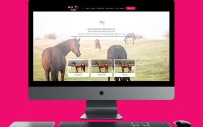 Website Design for Hidden Valley