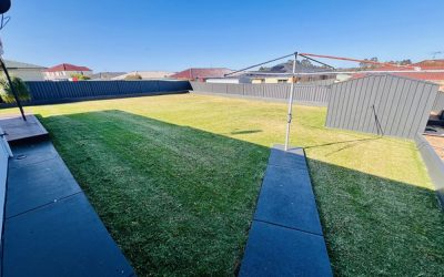 A yarn about a Backyard Battle and a Lesson in Resilience!