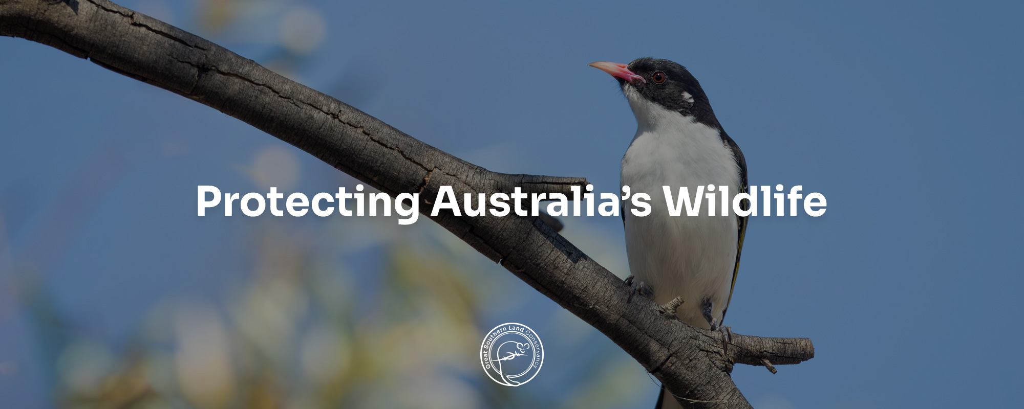 Great Southern Land Conservancy Great Southern Land Conservancy