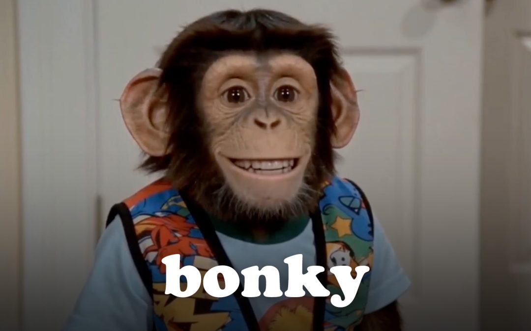 BONKY: From Imagination to AI… and What Comes Next